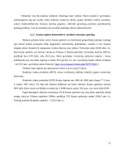 Miestų plėtros finansavimo sąlygos ir galimybės 9 puslapis