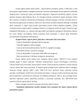 Miestų plėtros finansavimo sąlygos ir galimybės 12 puslapis