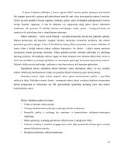 Miestų plėtros finansavimo sąlygos ir galimybės 15 puslapis