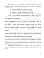 Miestų plėtros finansavimo sąlygos ir galimybės 16 puslapis