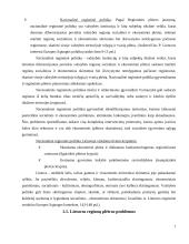 Miestų plėtros finansavimo sąlygos ir galimybės 3 puslapis