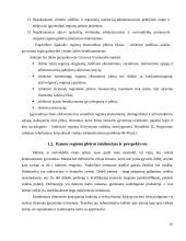 Miestų plėtros finansavimo sąlygos ir galimybės 6 puslapis