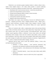 Miestų plėtros finansavimo sąlygos ir galimybės 7 puslapis