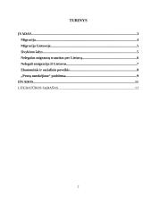 Migracijos problemos Lietuvoje 2 puslapis