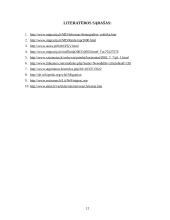 Migracijos problemos Lietuvoje 12 puslapis