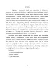 Migracijos problemos Lietuvoje 3 puslapis