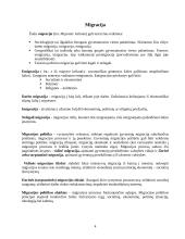 Migracijos problemos Lietuvoje 4 puslapis