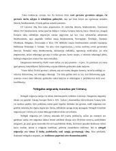 Migracijos problemos Lietuvoje 6 puslapis