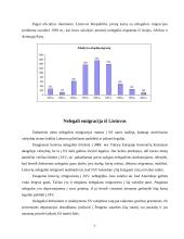 Migracijos problemos Lietuvoje 7 puslapis