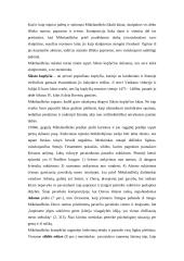 Mikelandželas - Renesanso saulėlydžio genijus 5 puslapis