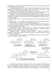 Mikotoksinų ir mikotoksikozių laboratorinė diagnostika 13 puslapis