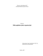 Mikroaplinkos įtaka organizacijai 1 puslapis