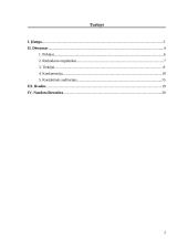 Mikroaplinkos įtaka organizacijai 2 puslapis