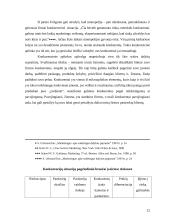 Mikroaplinkos įtaka organizacijai 12 puslapis