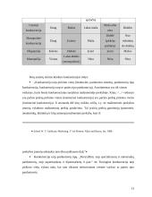 Mikroaplinkos įtaka organizacijai 13 puslapis