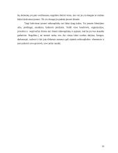 Mikroaplinkos įtaka organizacijai 19 puslapis