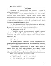 Mikroaplinkos įtaka organizacijai 4 puslapis