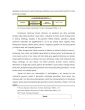 Mikroaplinkos įtaka organizacijai 5 puslapis