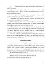 Mikroaplinkos įtaka organizacijai 7 puslapis