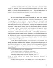 Mikroaplinkos įtaka organizacijai 9 puslapis