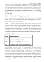 Mikroprocesorinės technologijos 4 puslapis