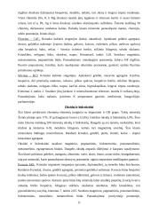 Mineralai gamtoje 11 puslapis