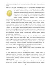 Mineralai gamtoje 12 puslapis