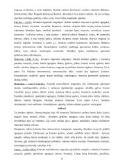 Mineralai gamtoje 13 puslapis