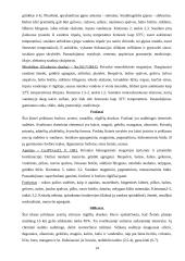 Mineralai gamtoje 14 puslapis