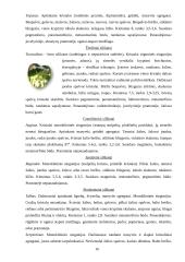 Mineralai gamtoje 16 puslapis