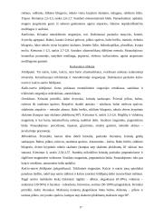 Mineralai gamtoje 17 puslapis