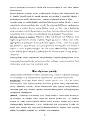 Mineralai gamtoje 3 puslapis