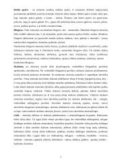 Mineralai gamtoje 5 puslapis