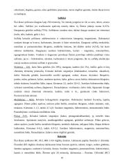 Mineralai gamtoje 10 puslapis