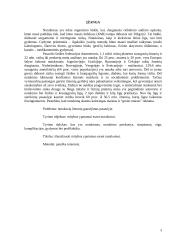 Mitybos ypatumai esant nutukimui 3 puslapis