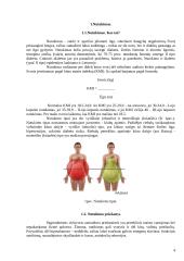 Mitybos ypatumai esant nutukimui 4 puslapis