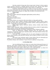 Mitybos ypatumai esant nutukimui 9 puslapis