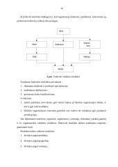 Moderniosios verslo organizacijos valdymo struktūros planavimas ir formavimas 12 puslapis