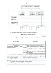 Moderniosios verslo organizacijos valdymo struktūros planavimas ir formavimas 13 puslapis