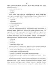 Moderniosios verslo organizacijos valdymo struktūros planavimas ir formavimas 15 puslapis