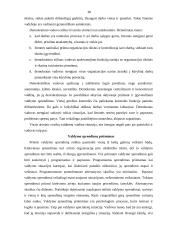 Moderniosios verslo organizacijos valdymo struktūros planavimas ir formavimas 16 puslapis