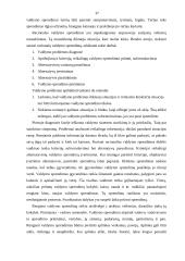 Moderniosios verslo organizacijos valdymo struktūros planavimas ir formavimas 17 puslapis