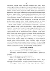 Moderniosios verslo organizacijos valdymo struktūros planavimas ir formavimas 18 puslapis