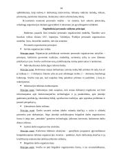 Moderniosios verslo organizacijos valdymo struktūros planavimas ir formavimas 19 puslapis