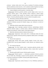 Moderniosios verslo organizacijos valdymo struktūros planavimas ir formavimas 20 puslapis