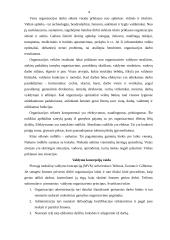 Moderniosios verslo organizacijos valdymo struktūros planavimas ir formavimas 4 puslapis