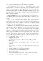 Moderniosios verslo organizacijos valdymo struktūros planavimas ir formavimas 5 puslapis