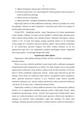 Moderniosios verslo organizacijos valdymo struktūros planavimas ir formavimas 6 puslapis