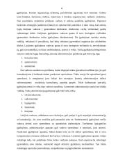 Moderniosios verslo organizacijos valdymo struktūros planavimas ir formavimas 8 puslapis