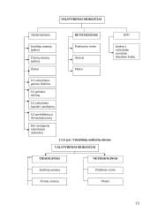 Mokesčių reikšmė, turinys, kultūra, sistemos ir įvairovė 12 puslapis